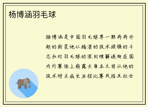杨博涵羽毛球
