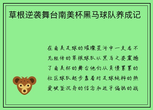 草根逆袭舞台南美杯黑马球队养成记