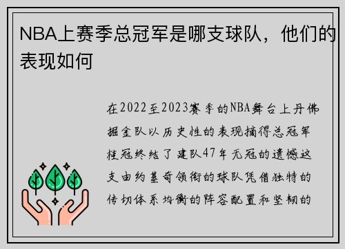 NBA上赛季总冠军是哪支球队，他们的表现如何