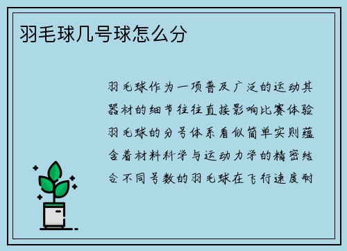 羽毛球几号球怎么分